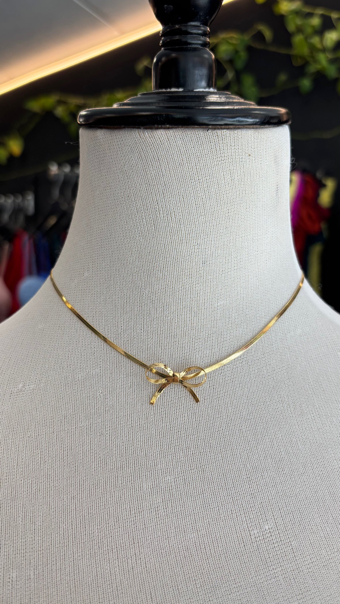 Collar Lazo